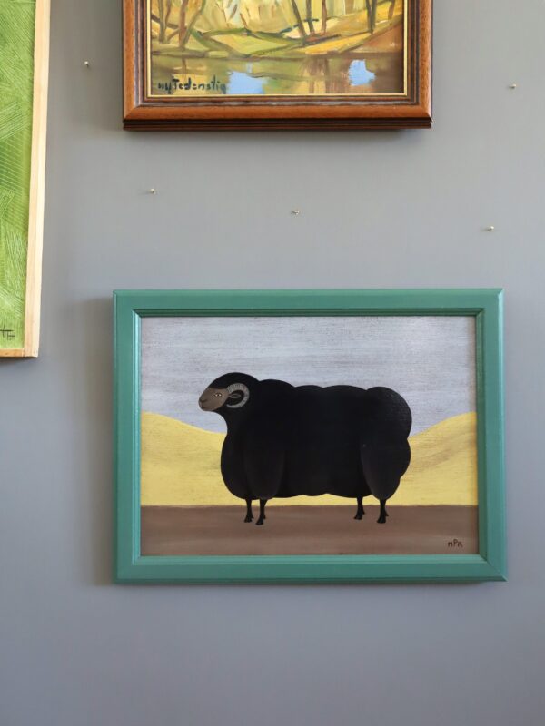 Prize Black Ram - Image 2