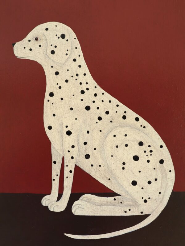 Dalmatian - Image 6