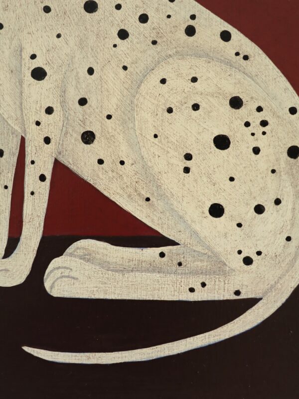 Dalmatian - Image 10