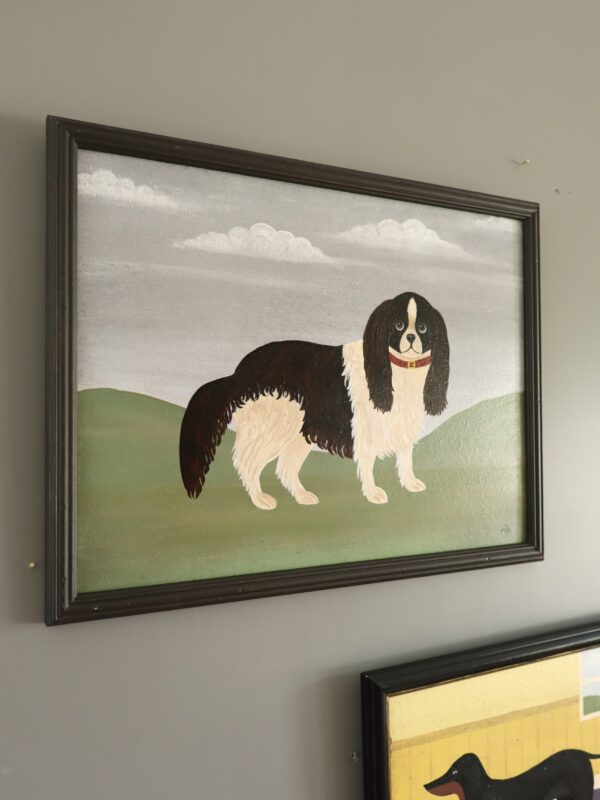 King Charles Spaniel - Image 4