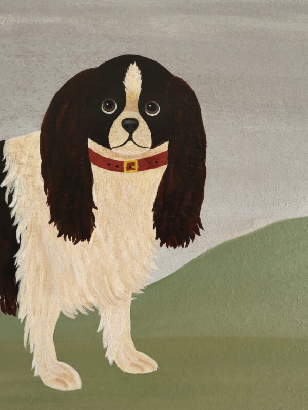 King Charles Spaniel - Image 9