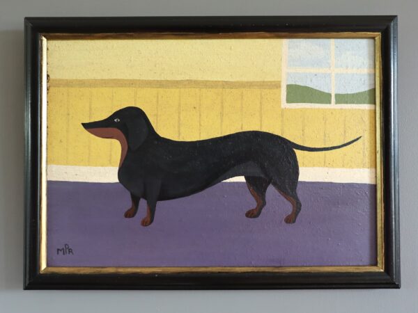 Dachshund