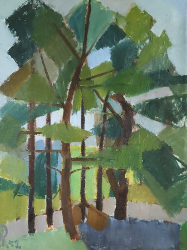 Where the Pines Meet the Sky - Image 8