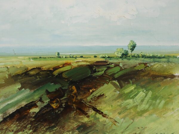 Fields in Springtime - Image 8
