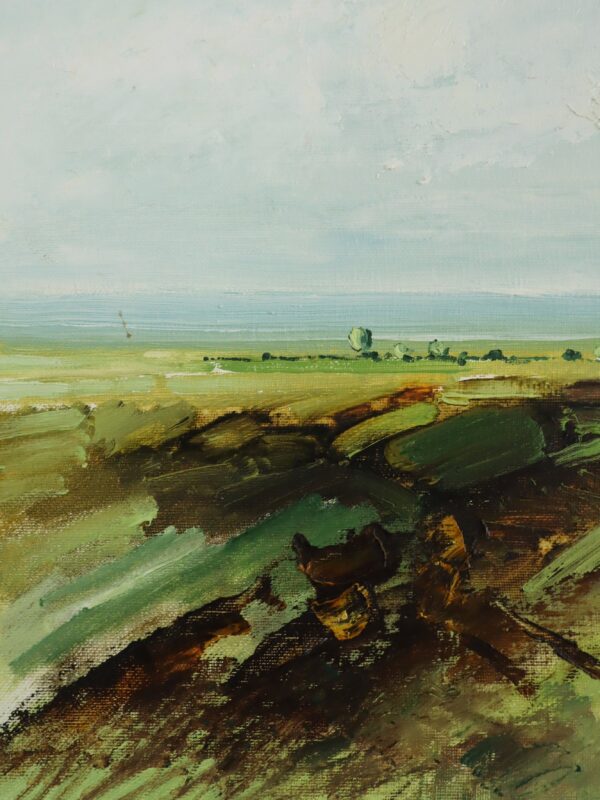 Fields in Springtime - Image 9