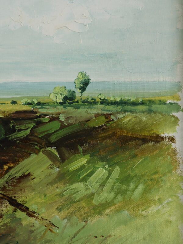 Fields in Springtime - Image 10