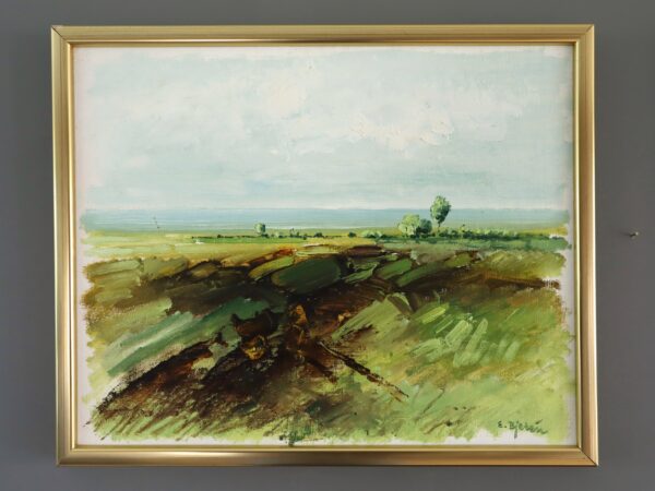 Fields in Springtime