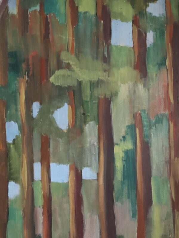 Forest Pathway - Image 8