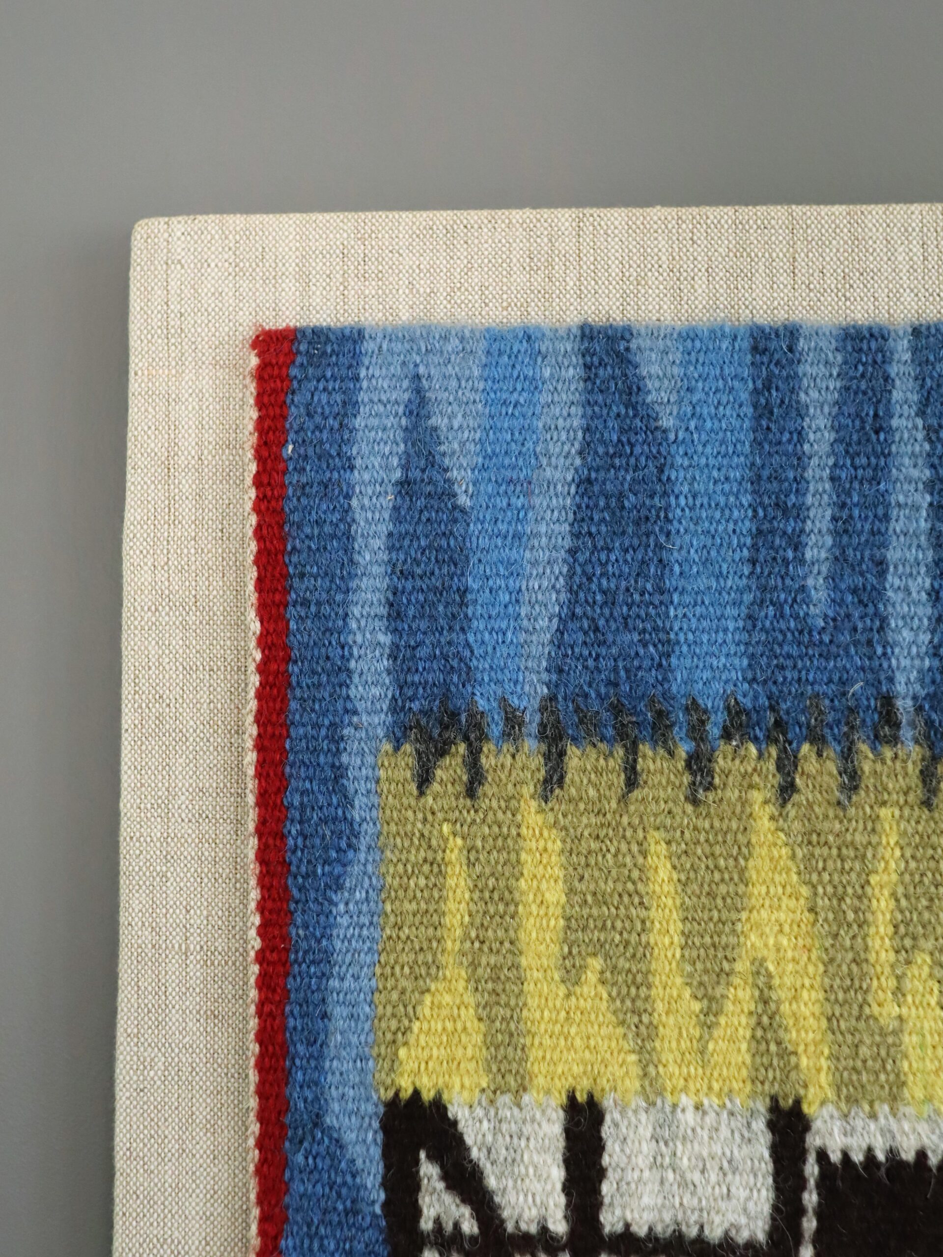 Farmyard Geese - Image 5