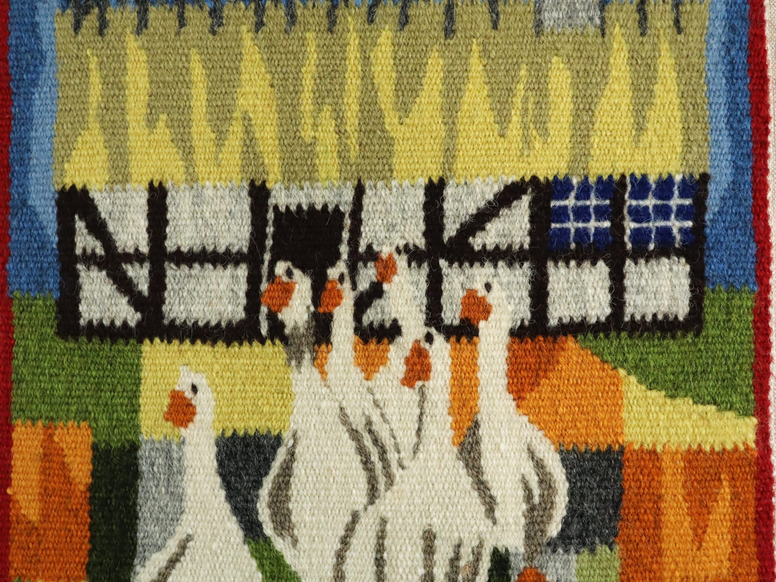 Farmyard Geese - Image 9