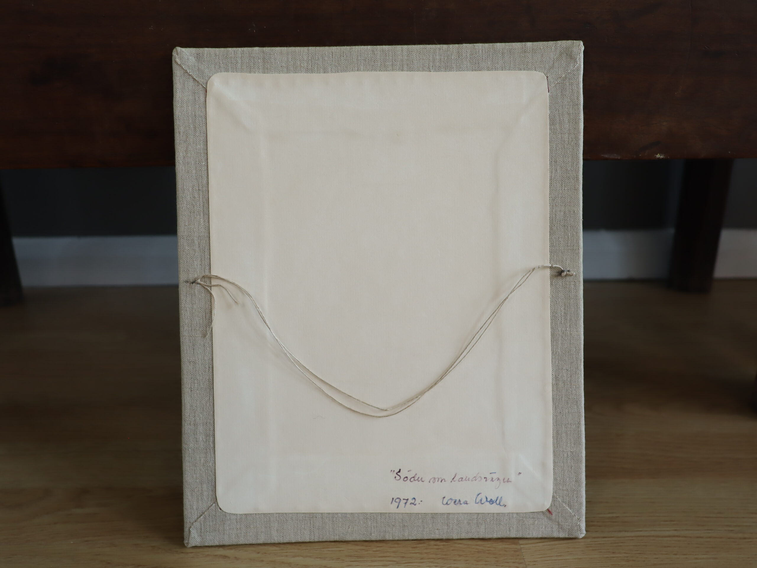 Farmyard Geese - Image 10