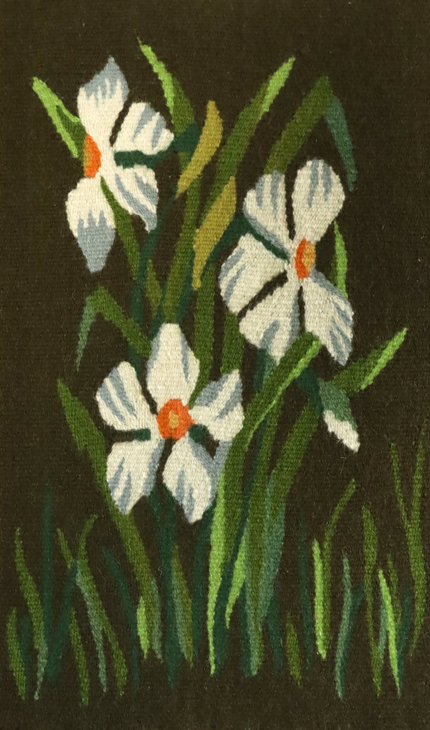 Narcissus (2 of 2) - Image 5