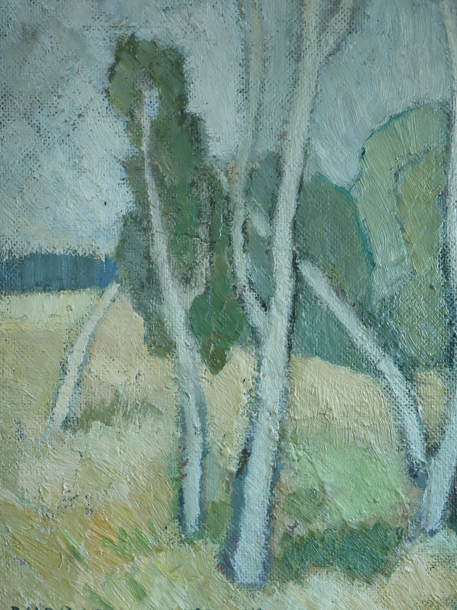 Birch Grove - Image 7