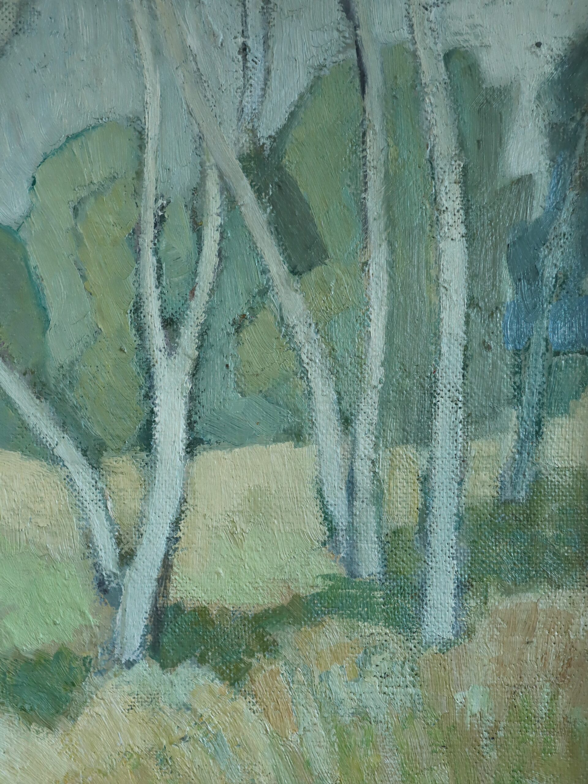 Birch Grove - Image 8