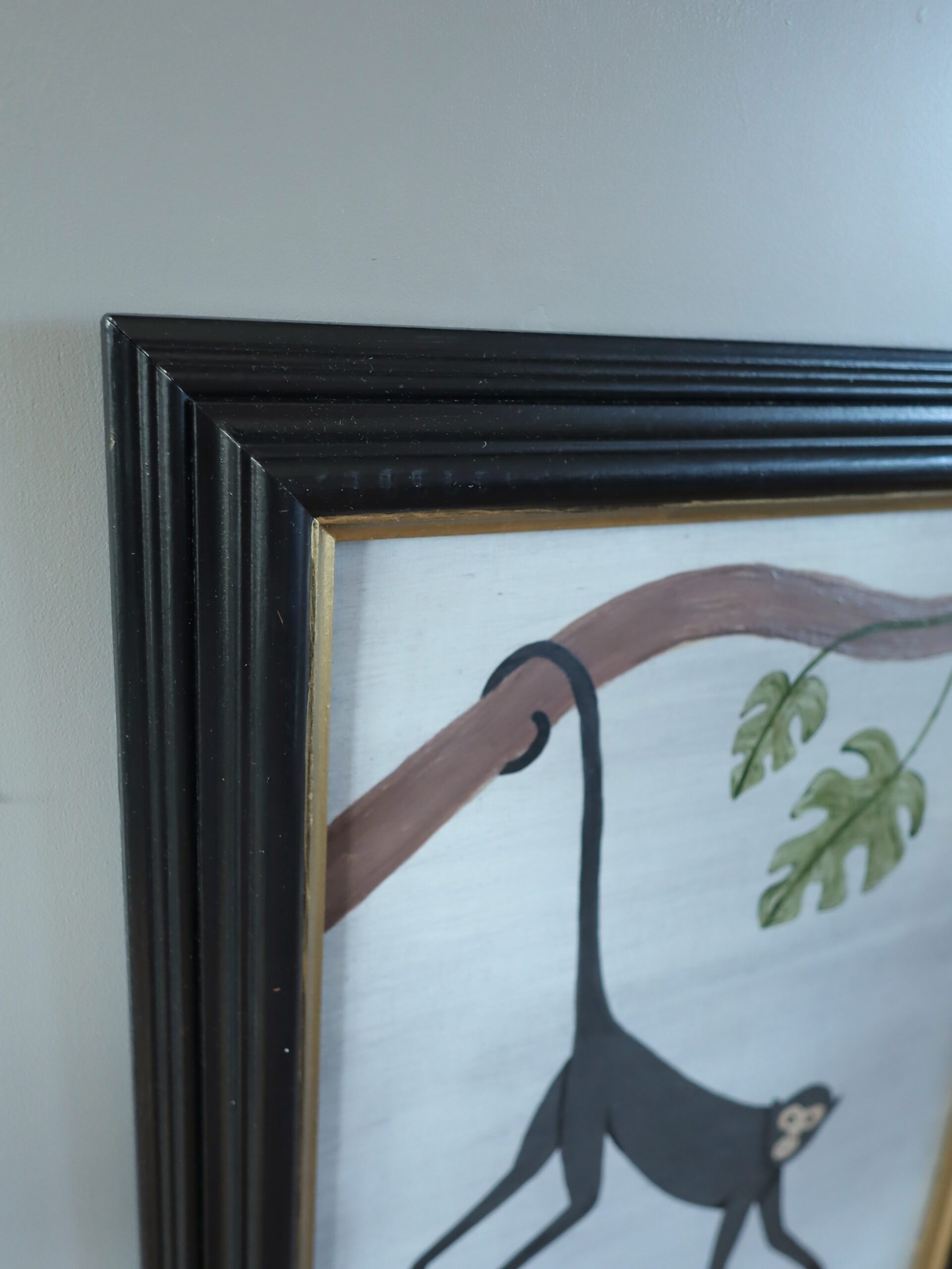 Hanging Spider Monkey - Image 7