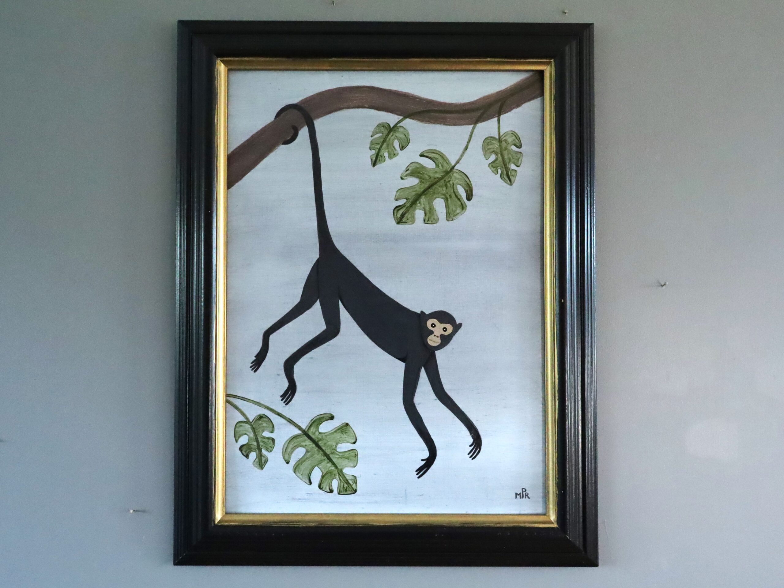 Hanging Spider Monkey