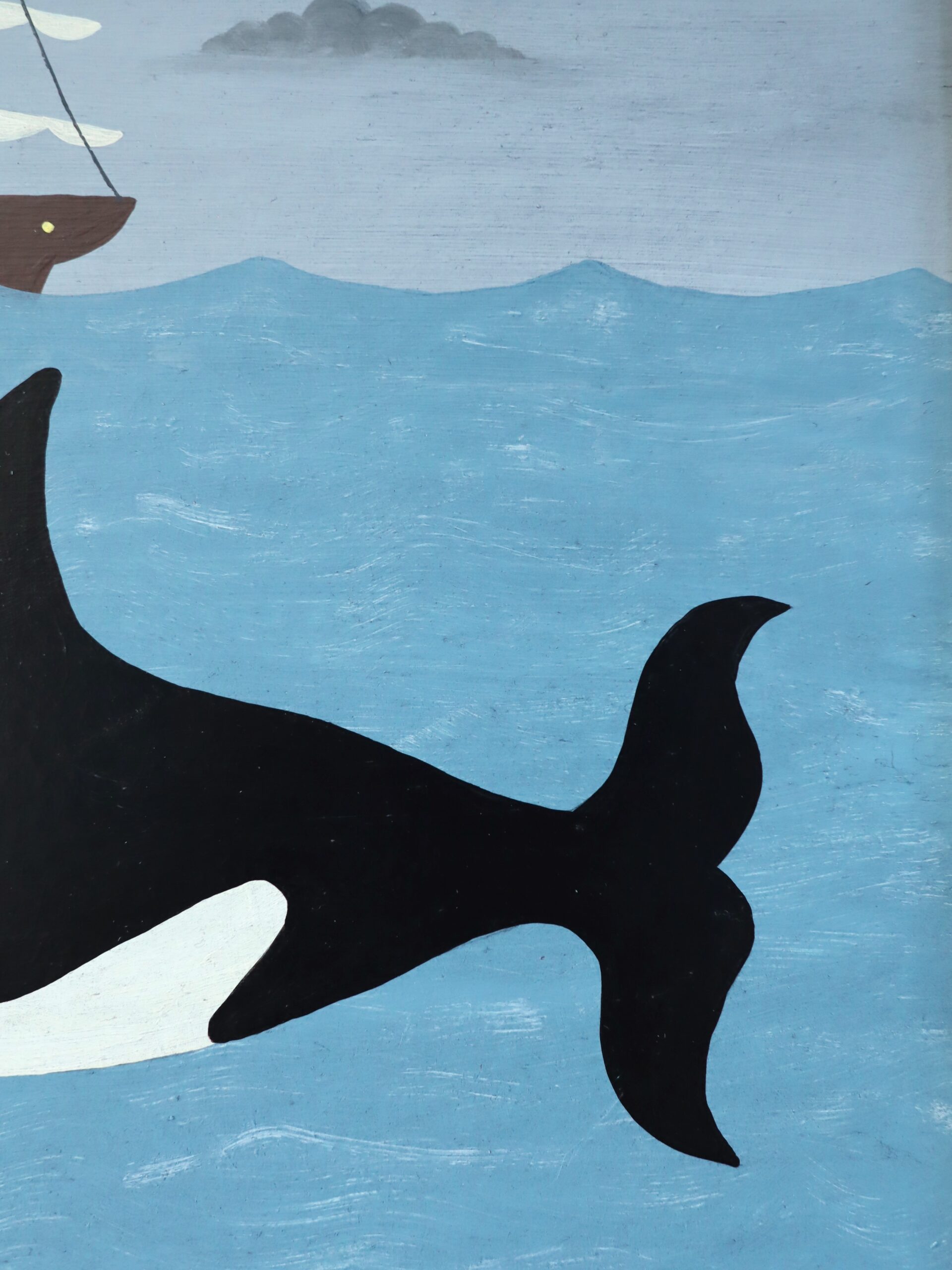 Orca at Sea - Image 9