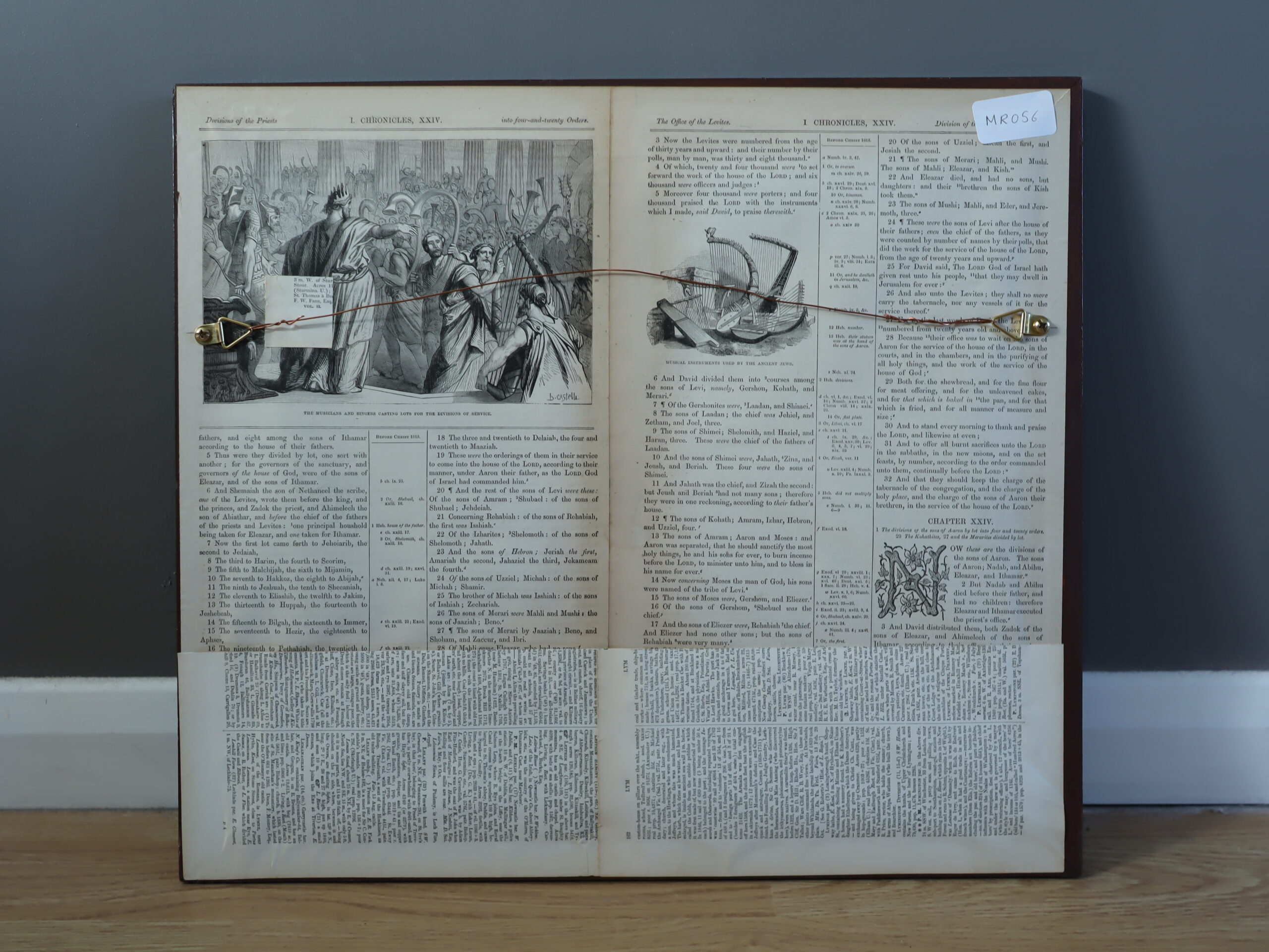 Orca at Sea - Image 10