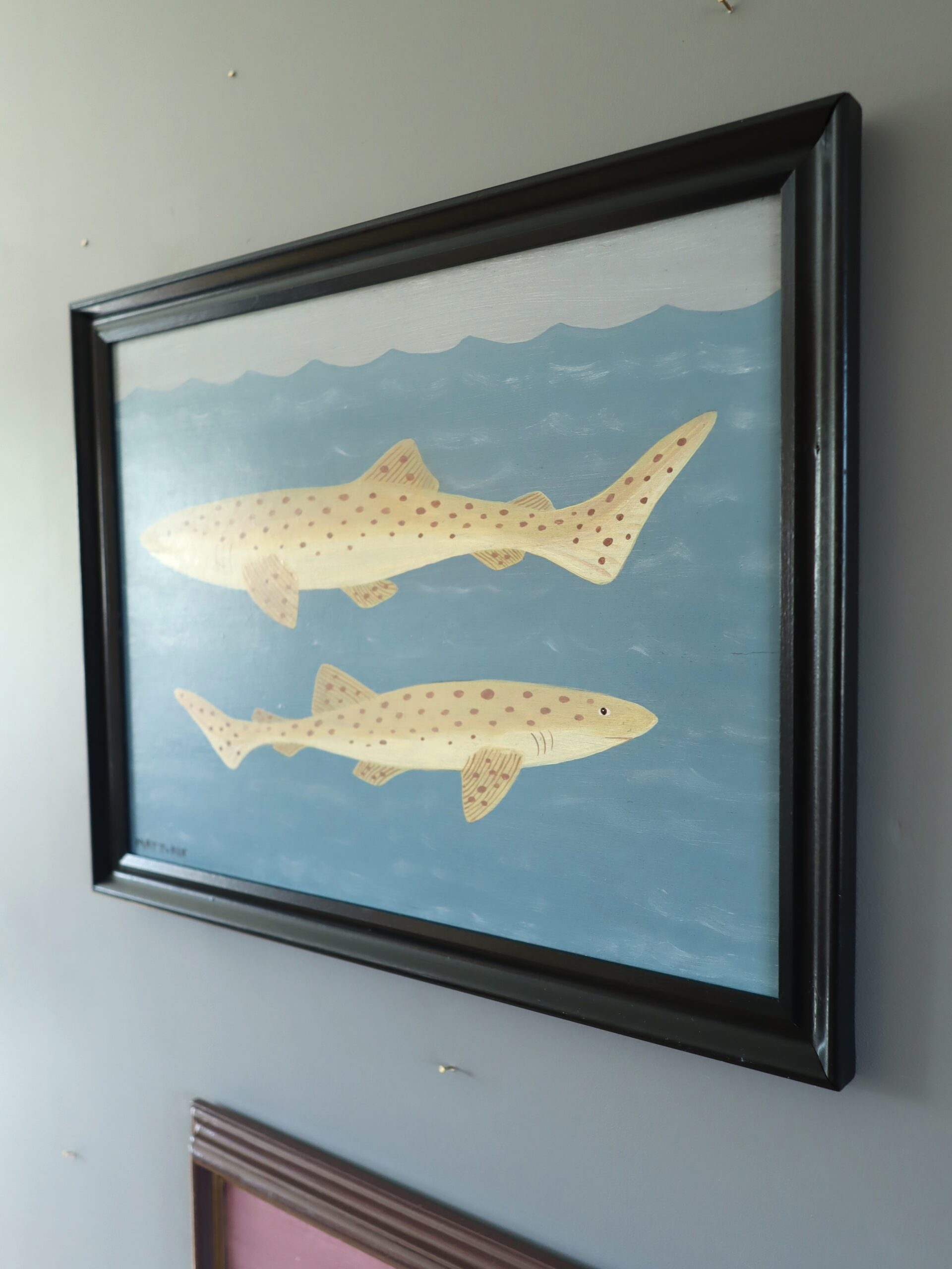 Lesser Spotted Dogfish - Image 5