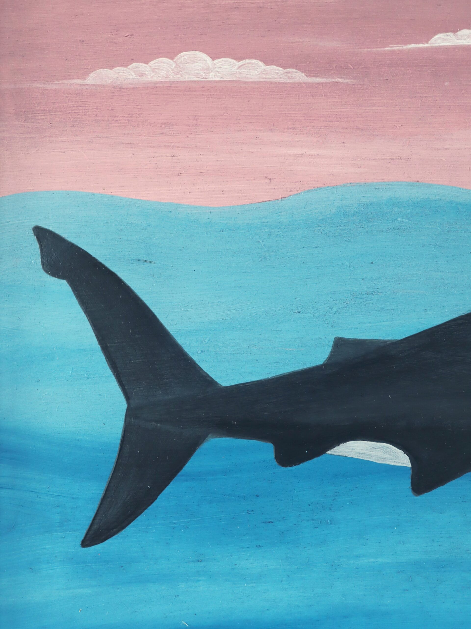 Great White Shark at Sea - Image 8