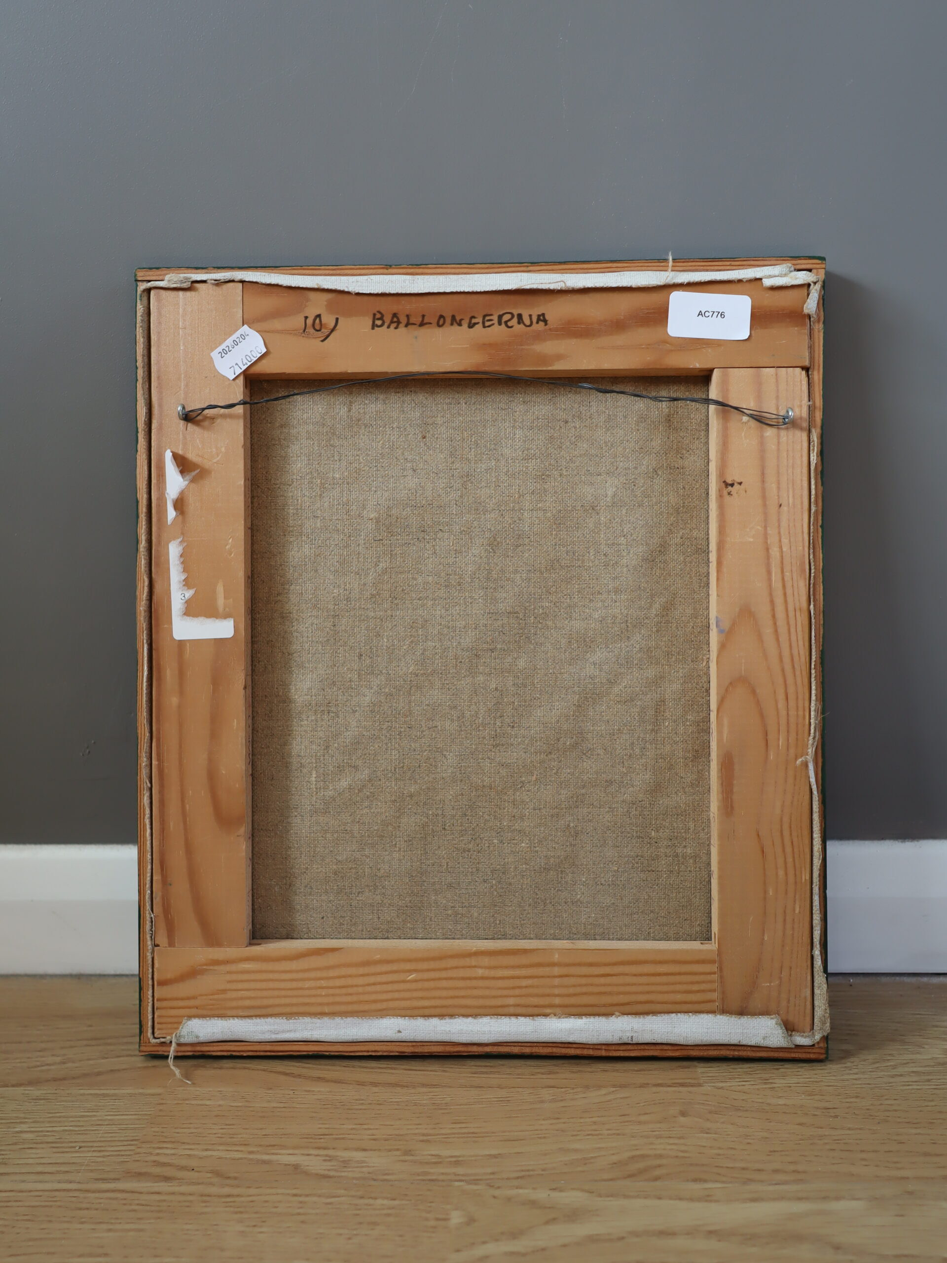 Balloons in the Park - Image 8