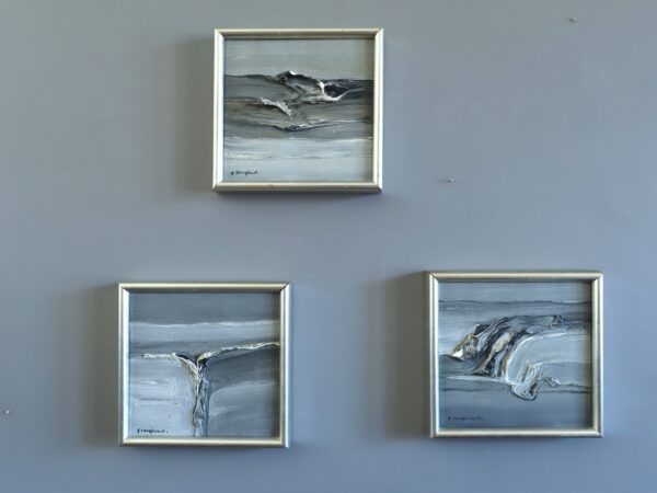 Tidal Forms: A Study in Motion