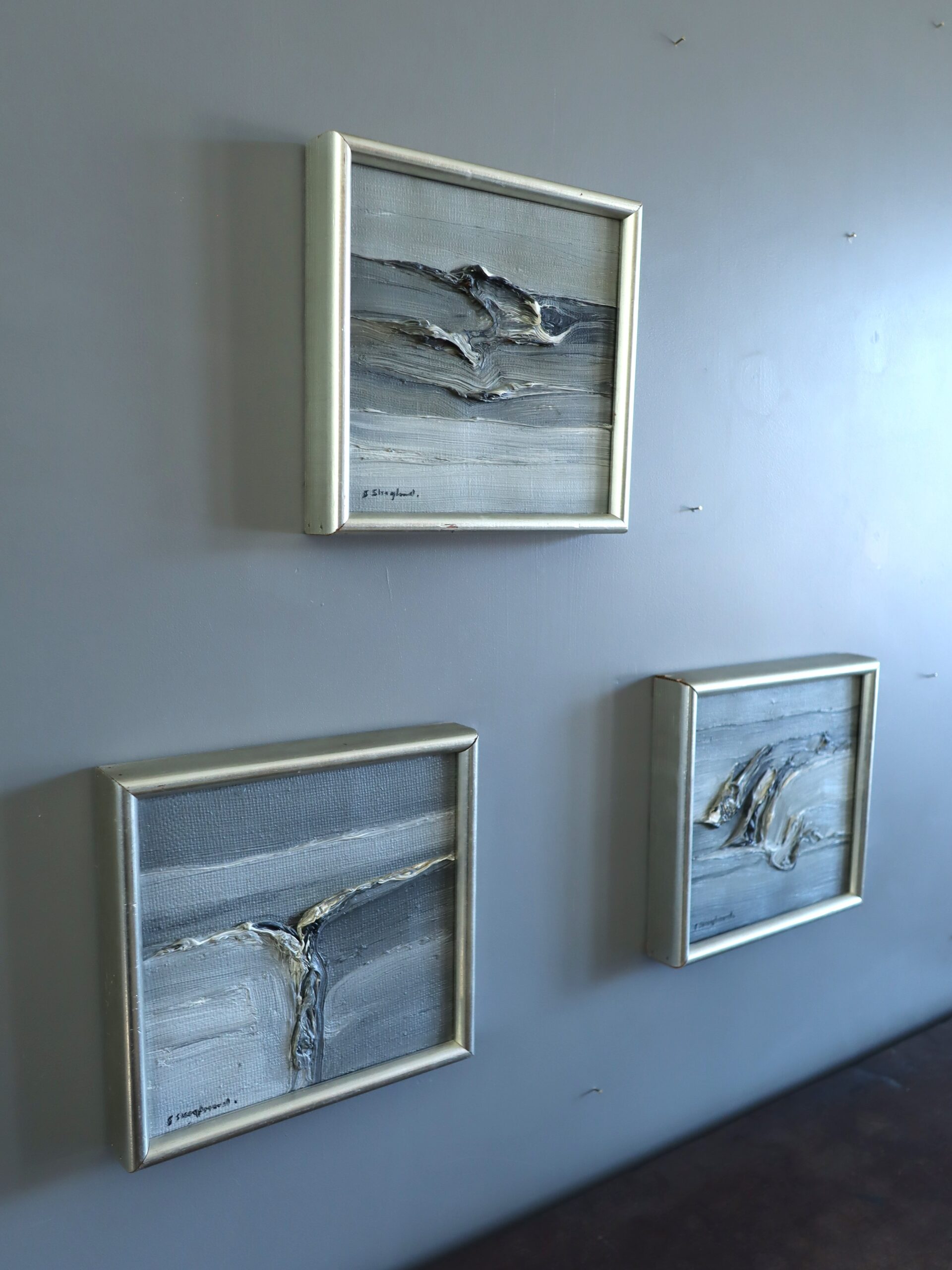 Tidal Forms: A Study in Motion - Image 5