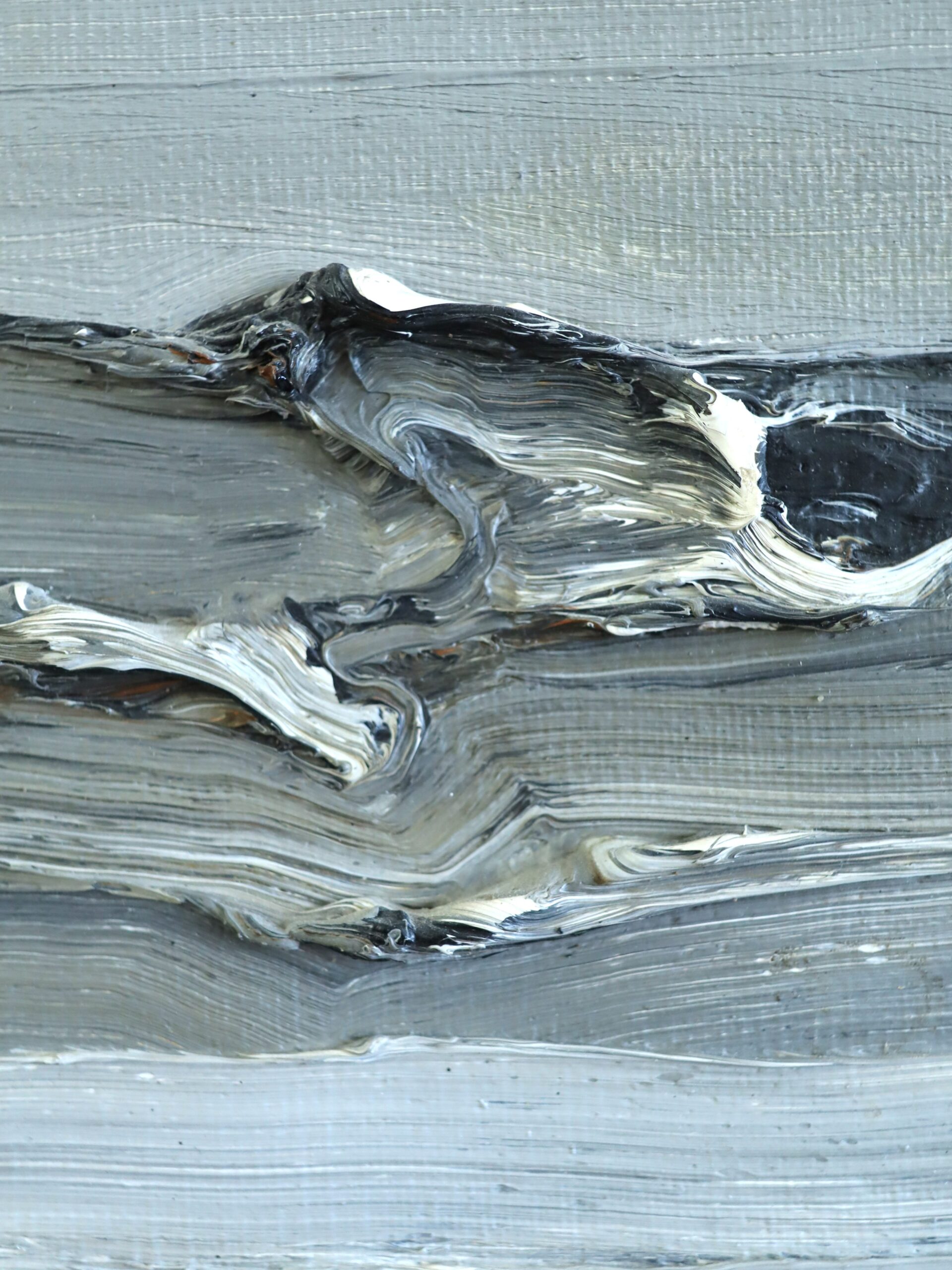 Tidal Forms: A Study in Motion - Image 11