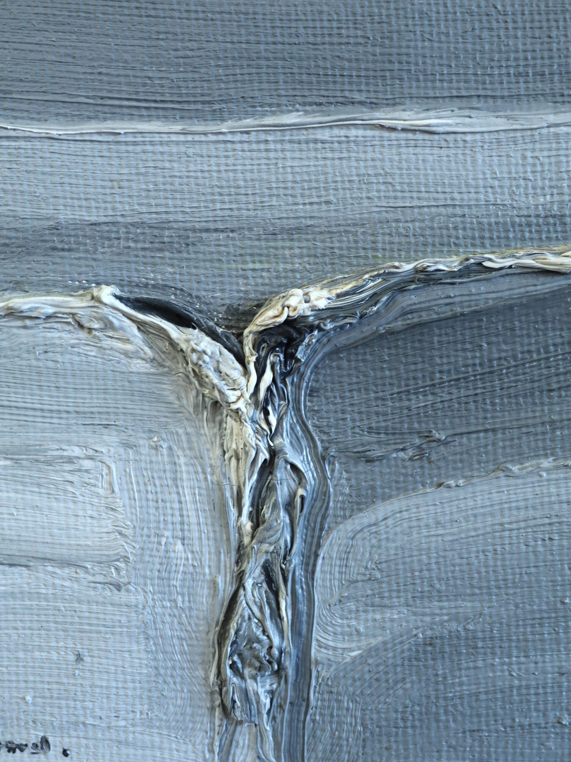 Tidal Forms: A Study in Motion - Image 10