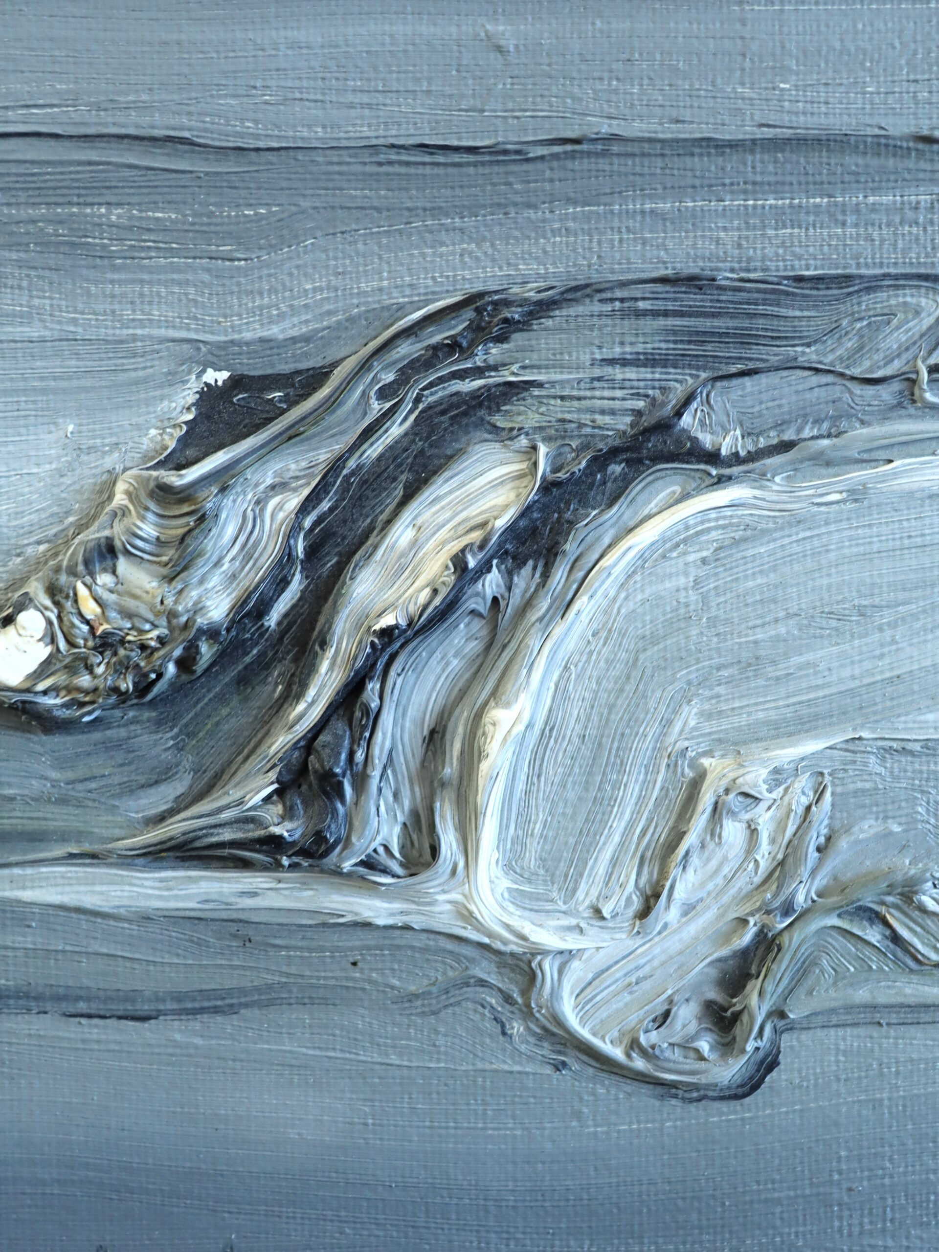 Tidal Forms: A Study in Motion - Image 9