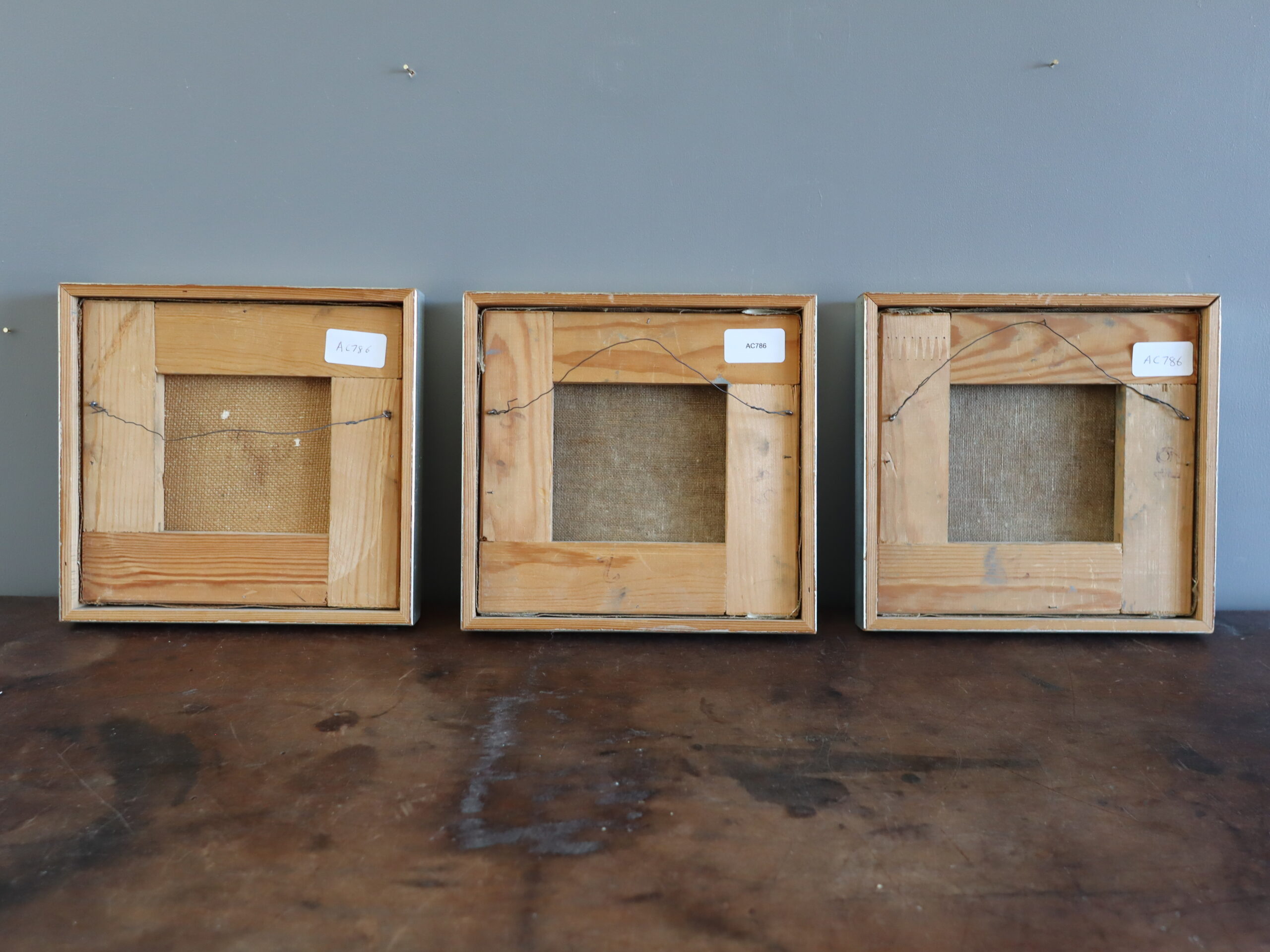 Tidal Forms: A Study in Motion - Image 13