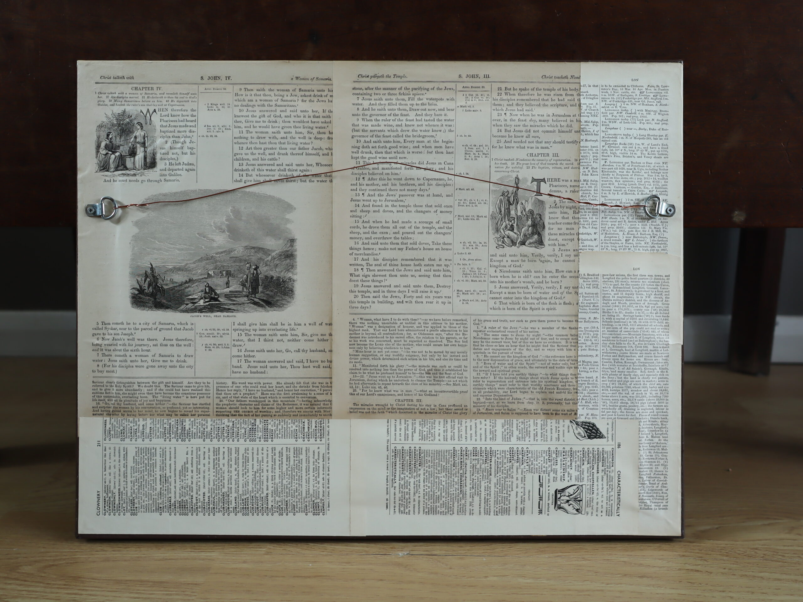 Golden Leopard - Image 11