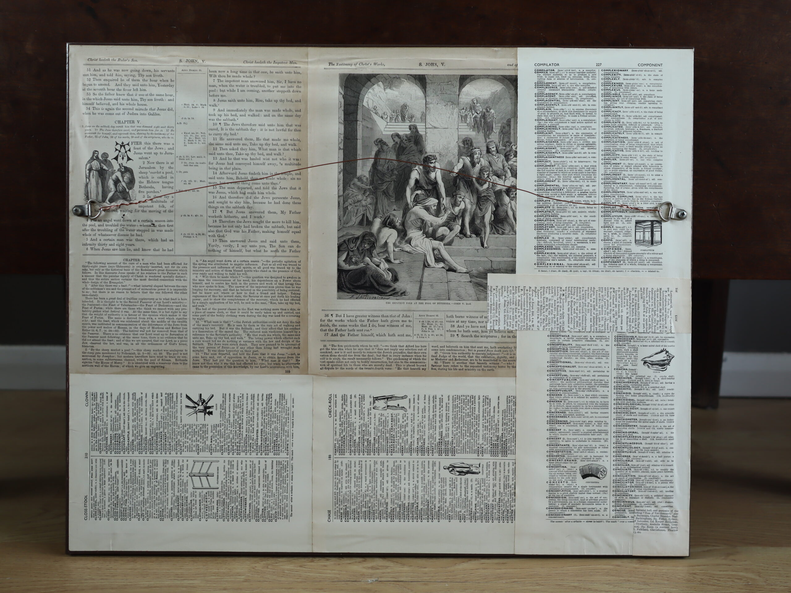 Majestic Lion - Image 11