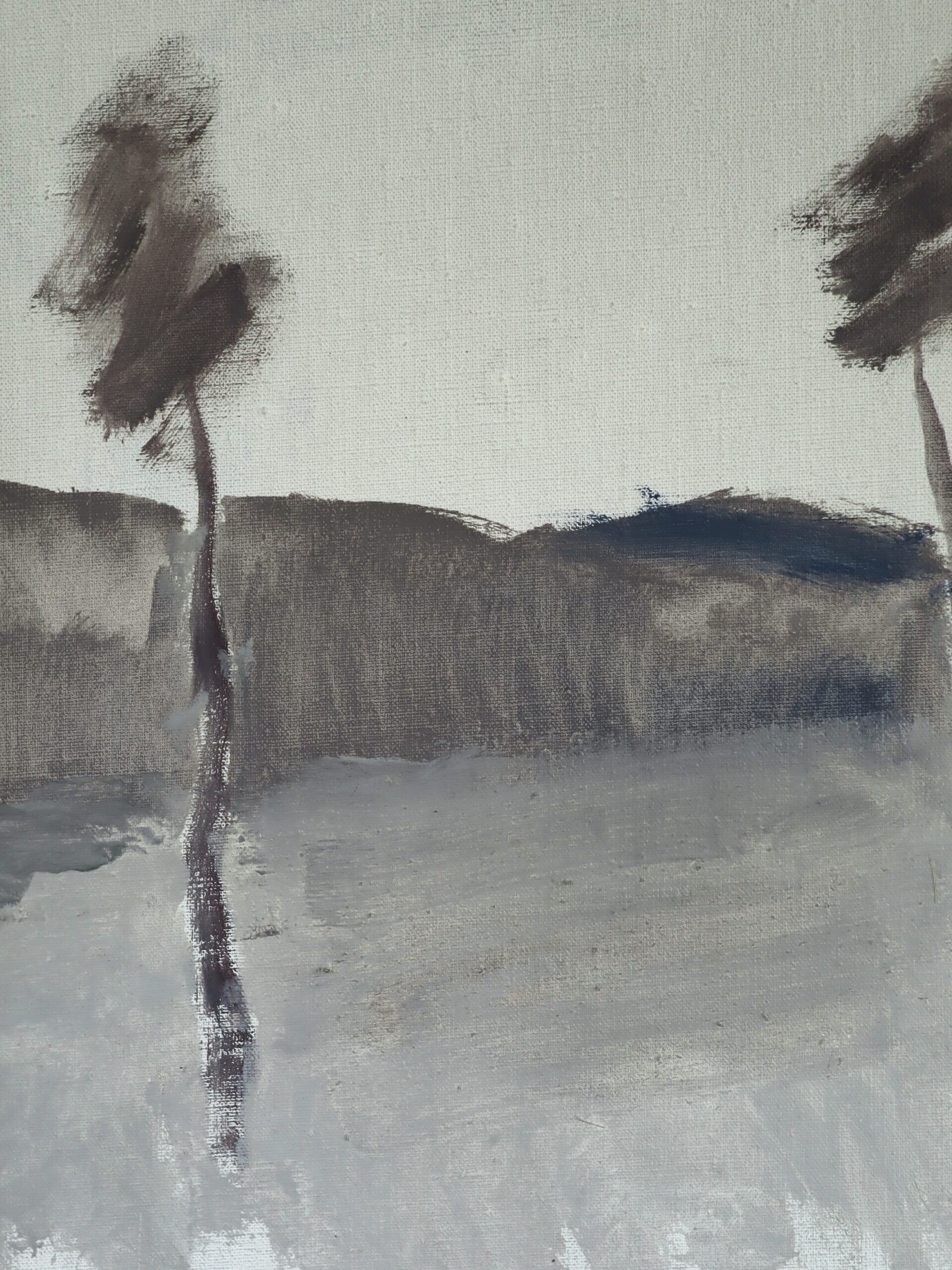 The Quiet Whisper of Trees - Image 5