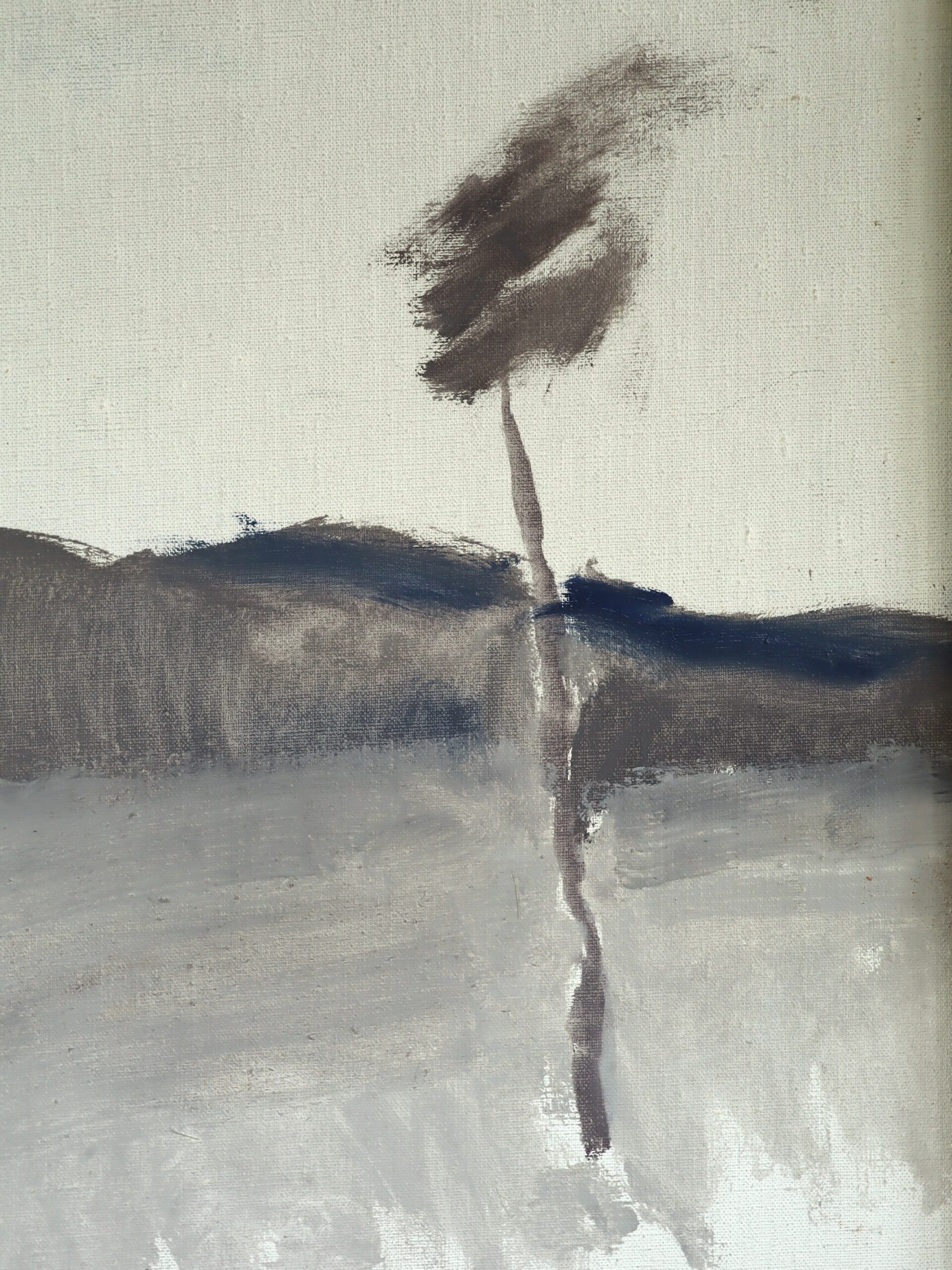 The Quiet Whisper of Trees - Image 6
