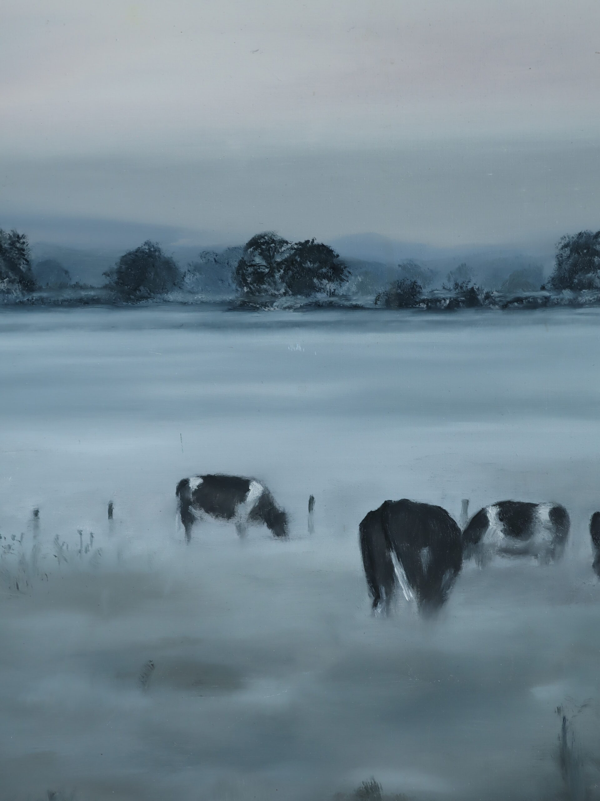 Friesians in the Mist - Image 8
