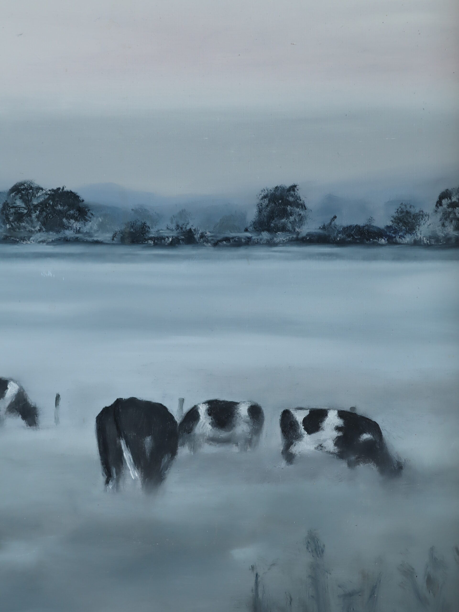 Friesians in the Mist - Image 7