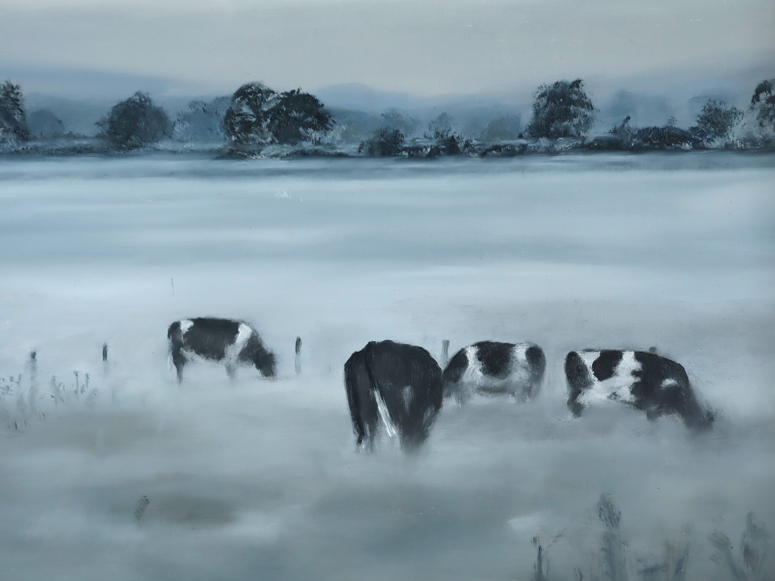 Friesians in the Mist - Image 9