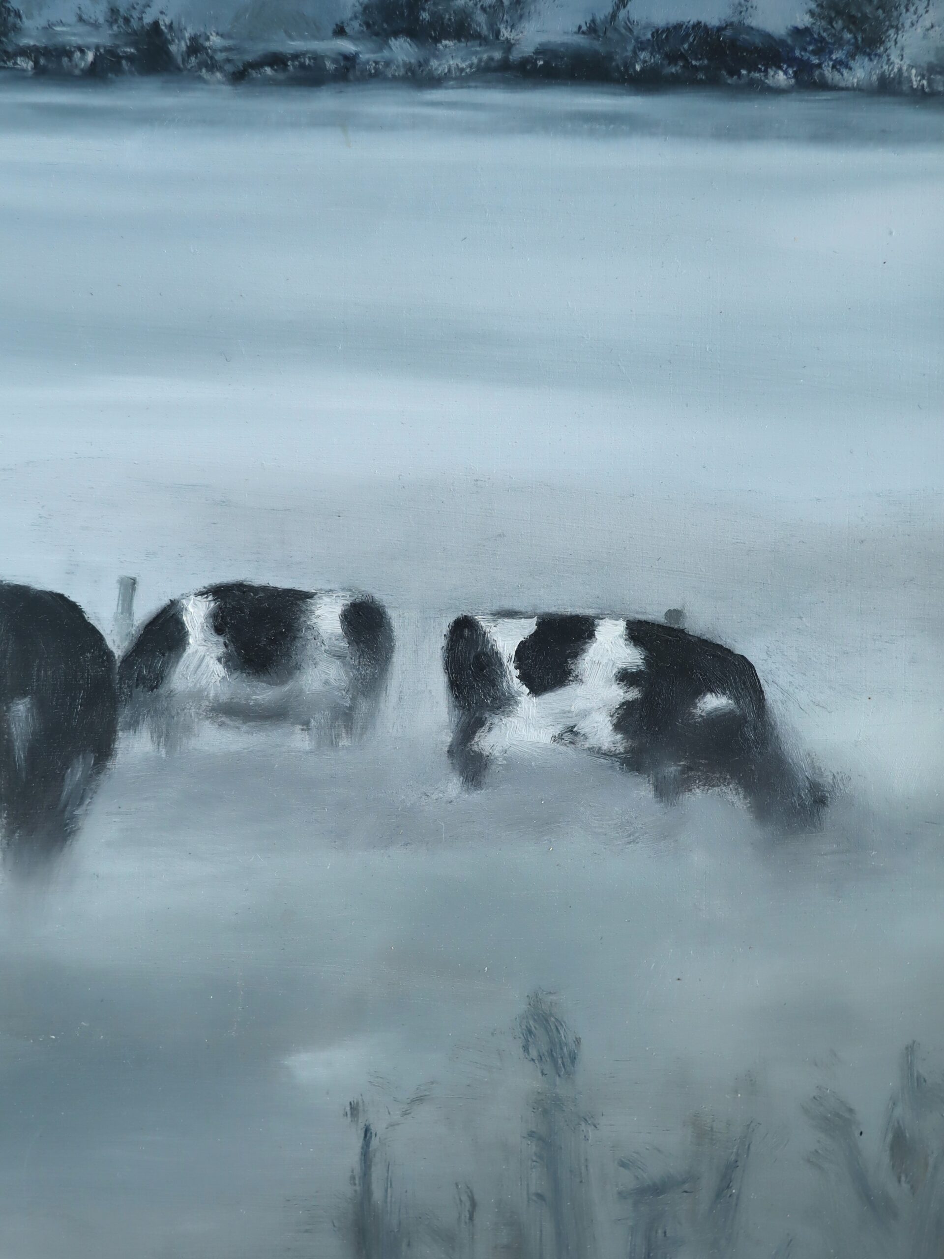 Friesians in the Mist - Image 10