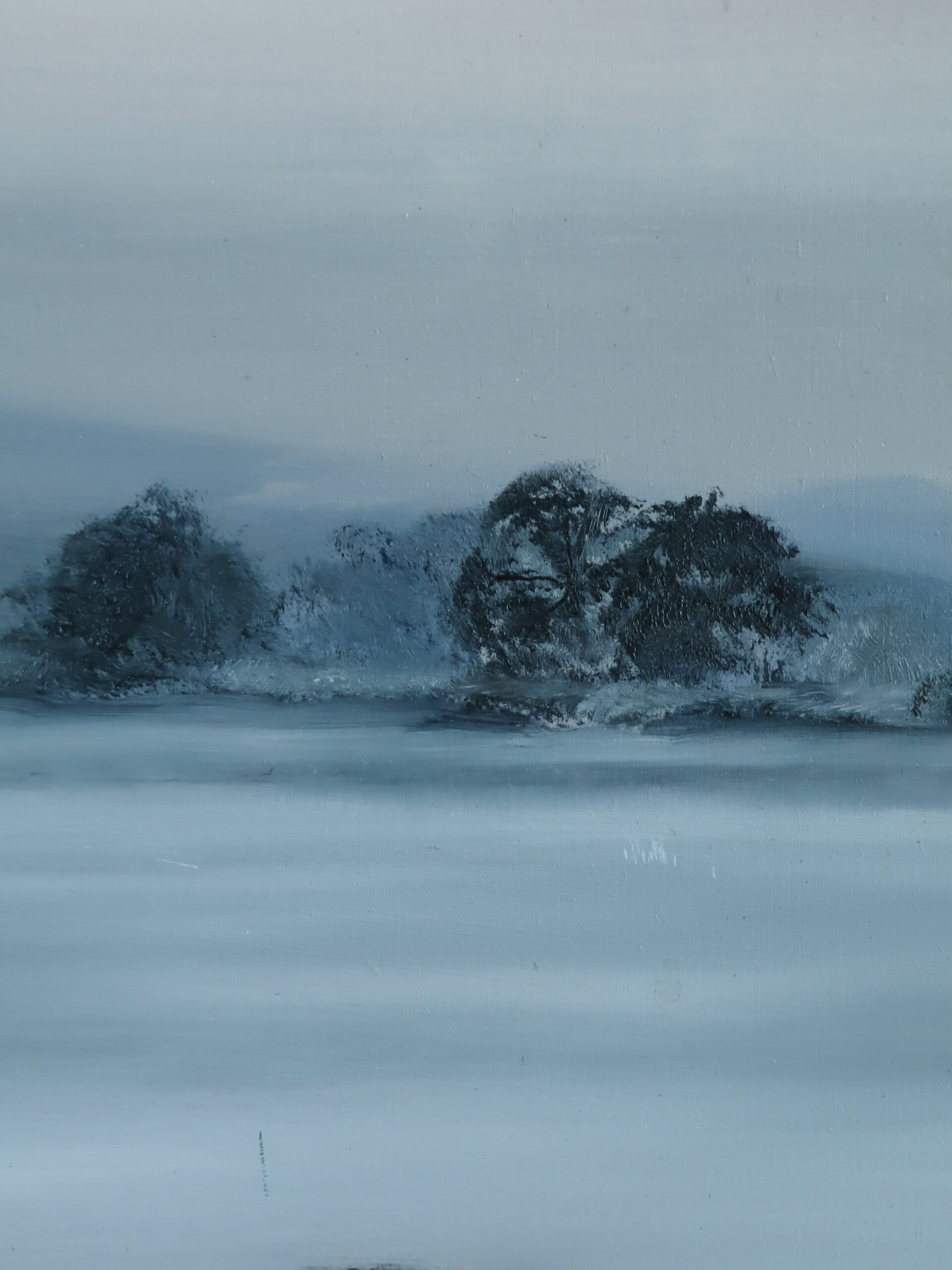 Friesians in the Mist - Image 6