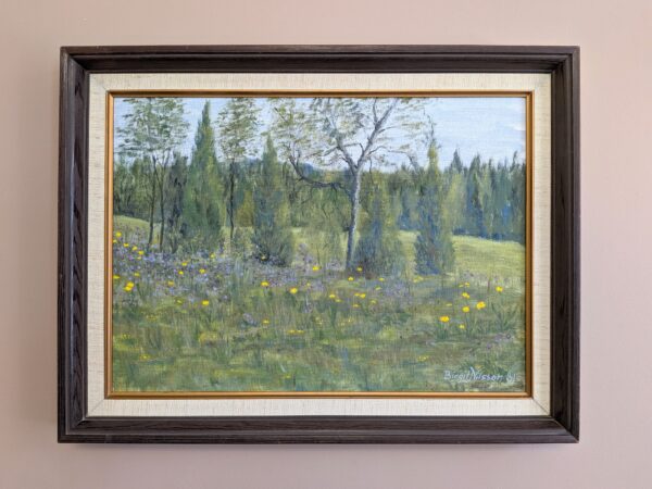 Wildflower Meadow
