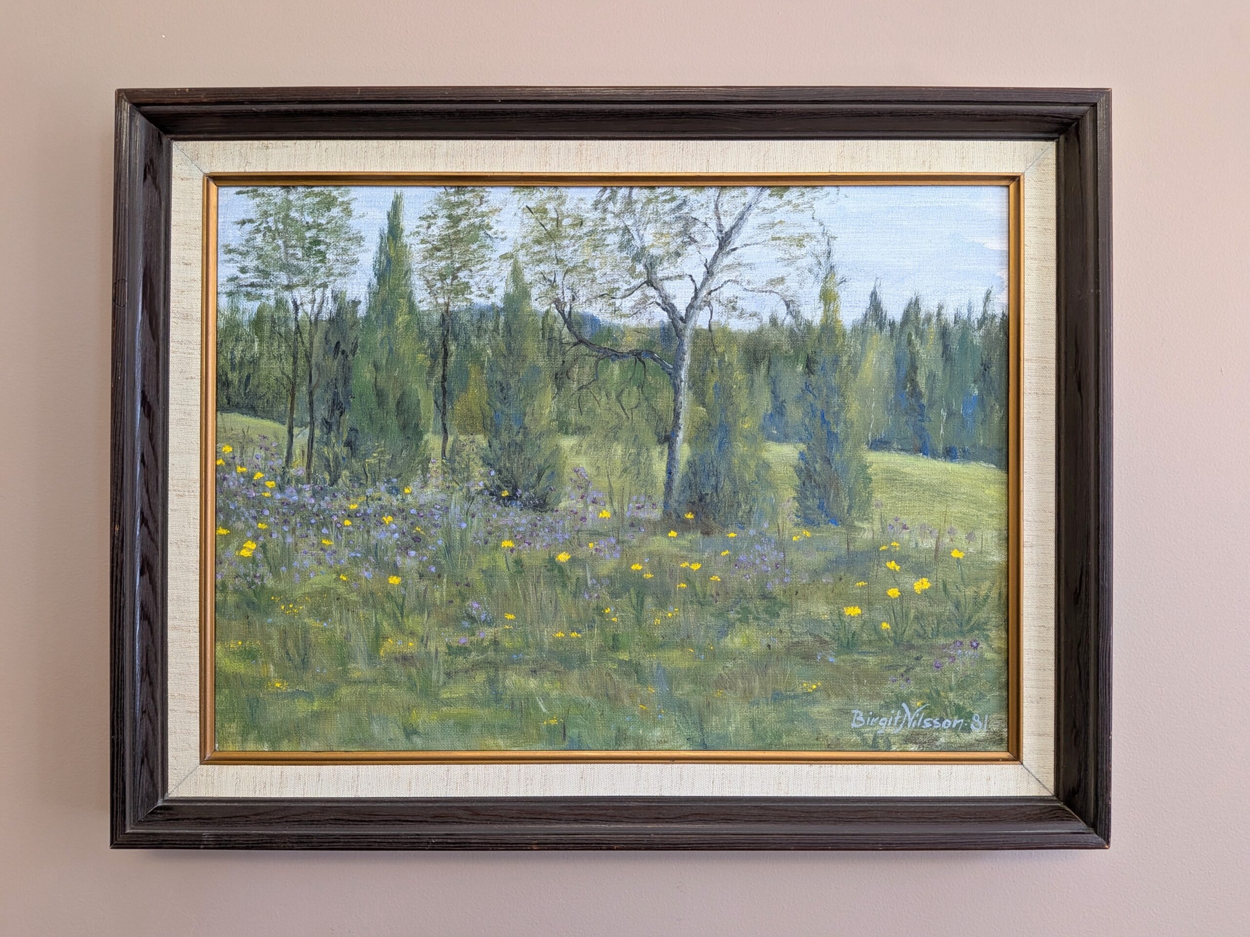 Wildflower Meadow