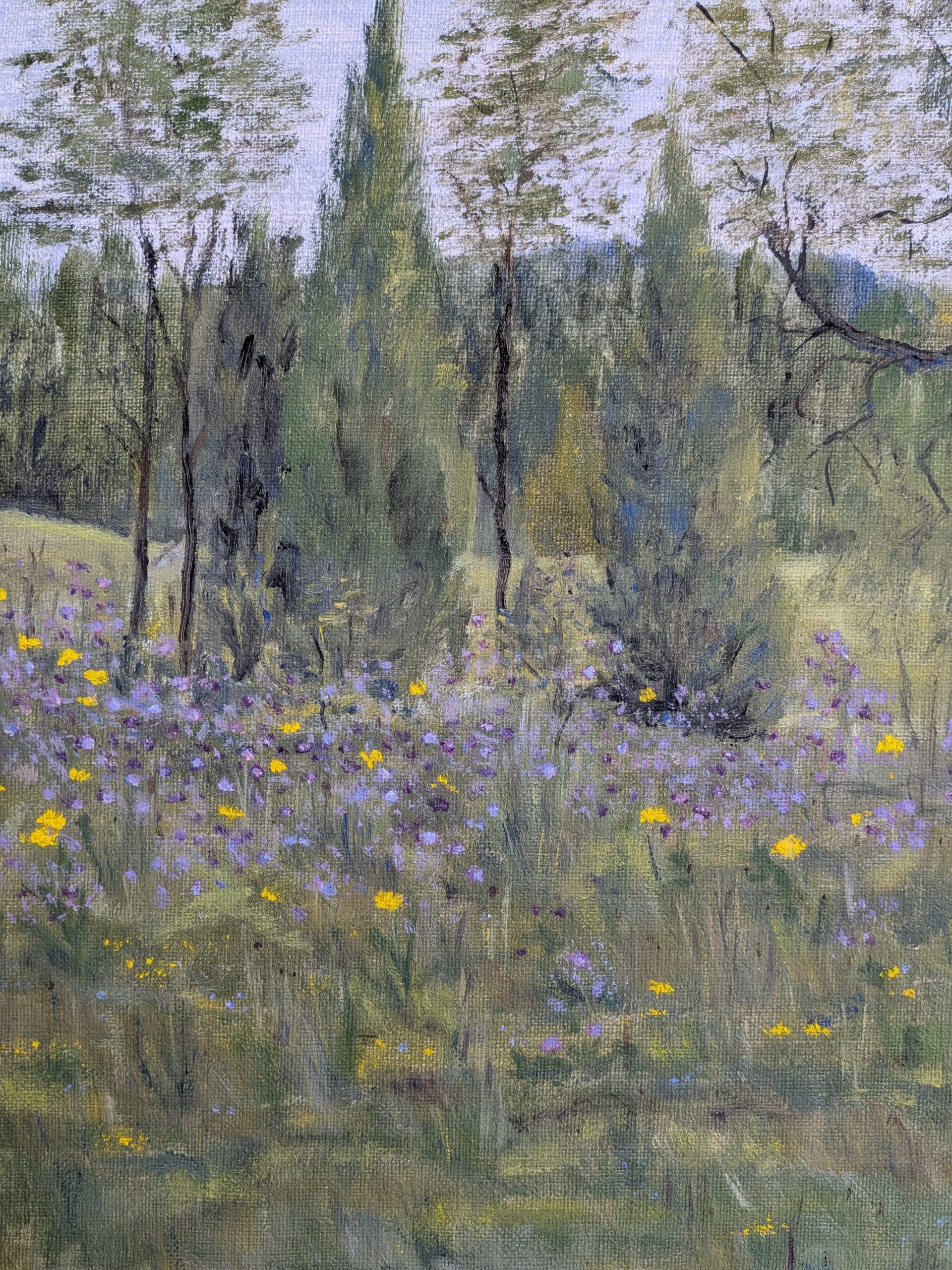 Wildflower Meadow - Image 6