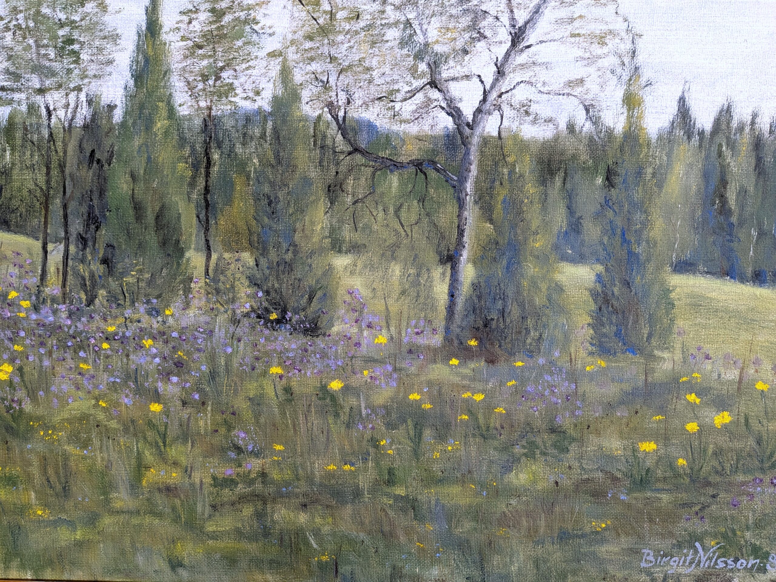 Wildflower Meadow - Image 5