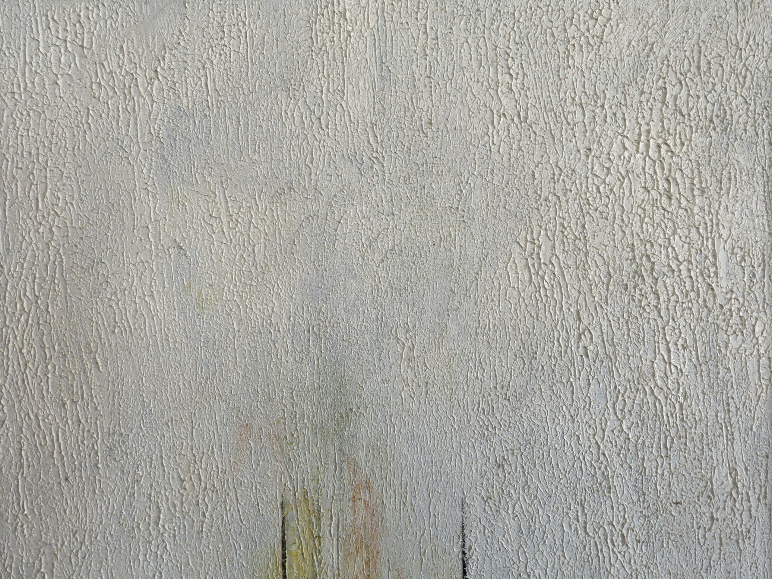 Where Light Rests - Image 8