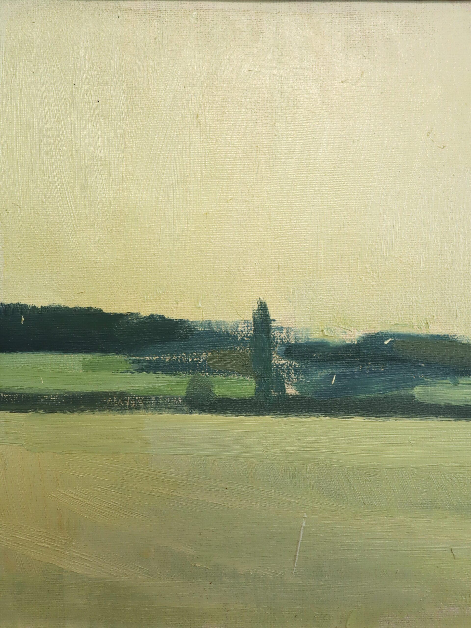 The Distant Green - Image 6