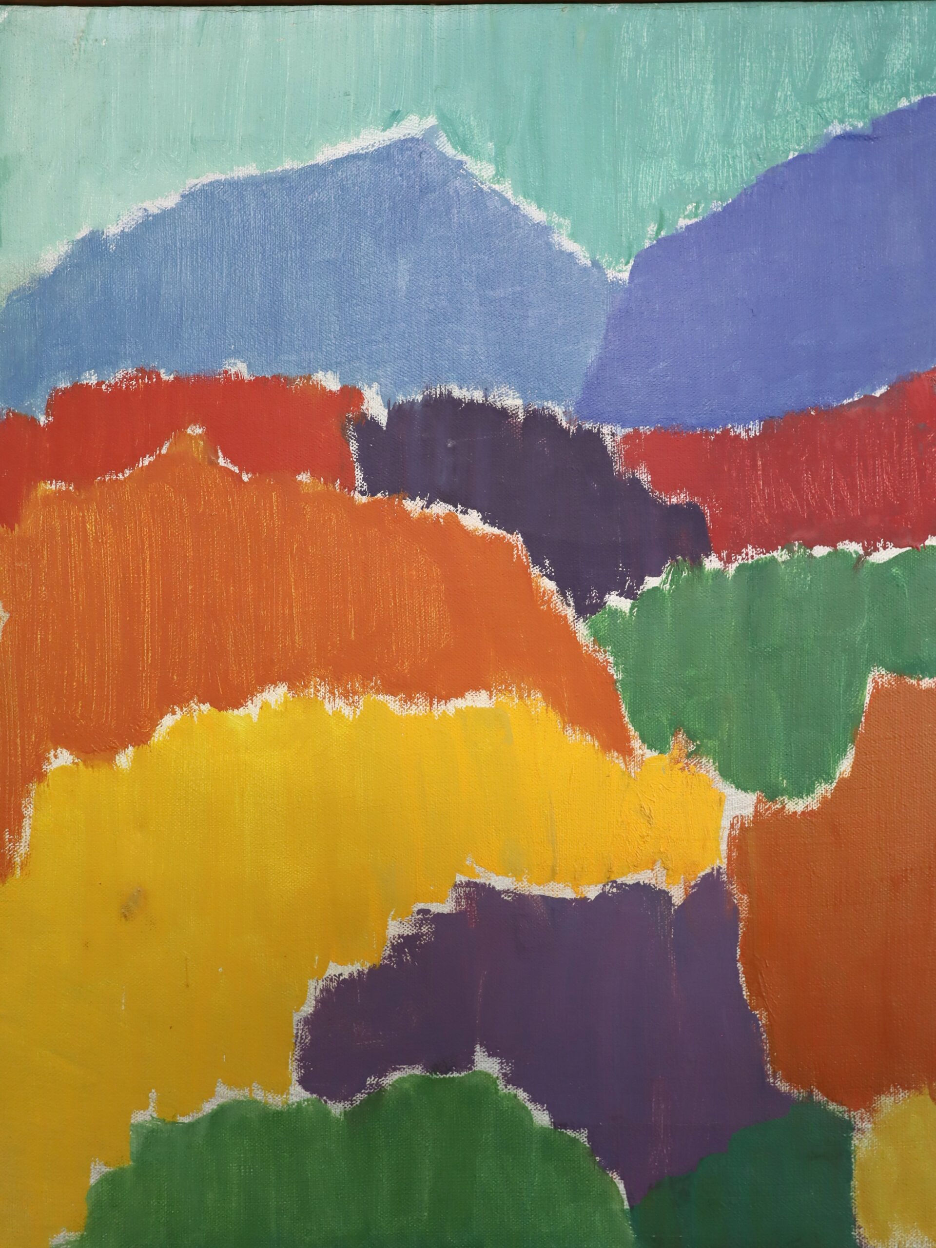 Fields of Colour - Image 6