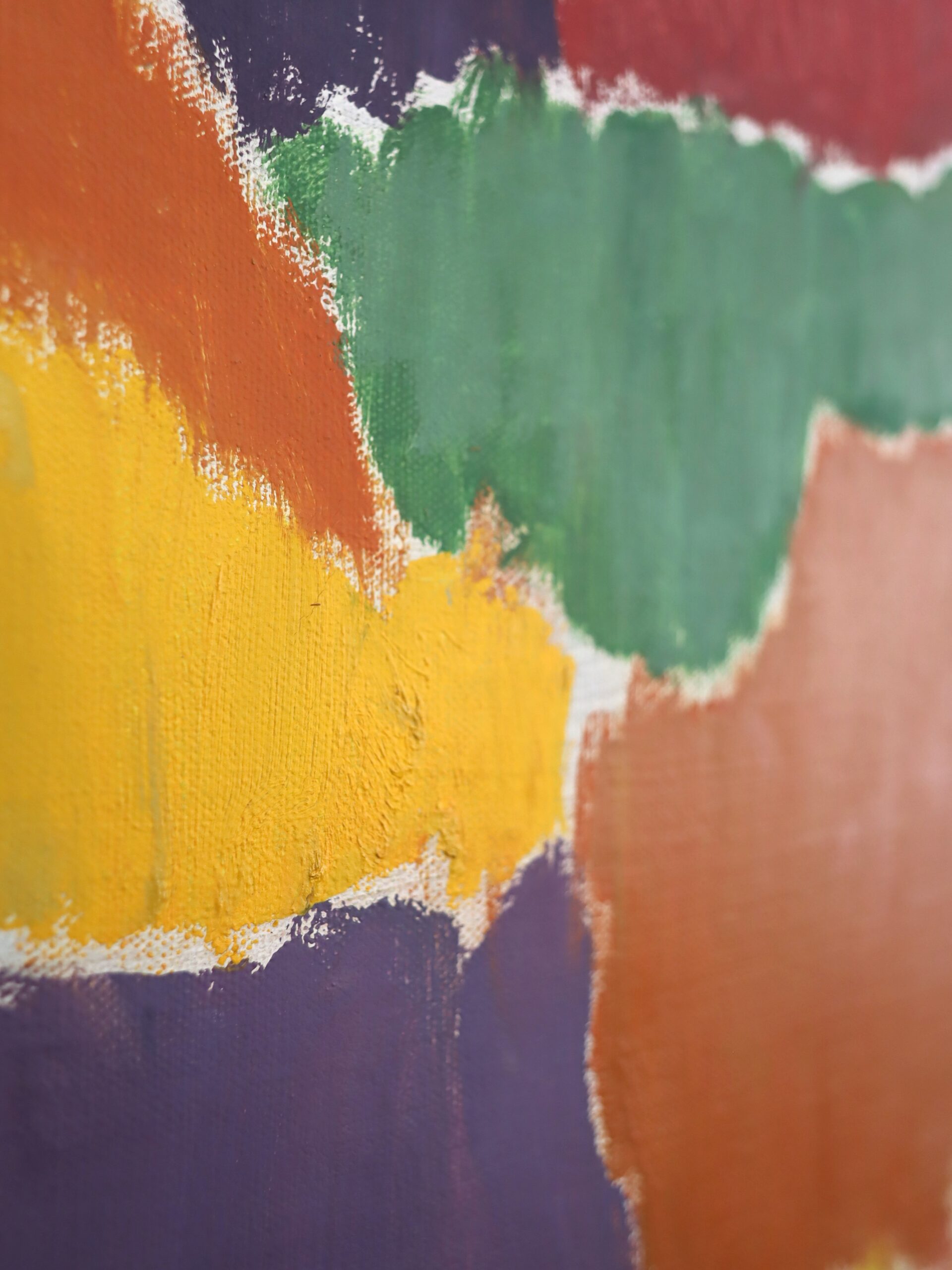 Fields of Colour - Image 11