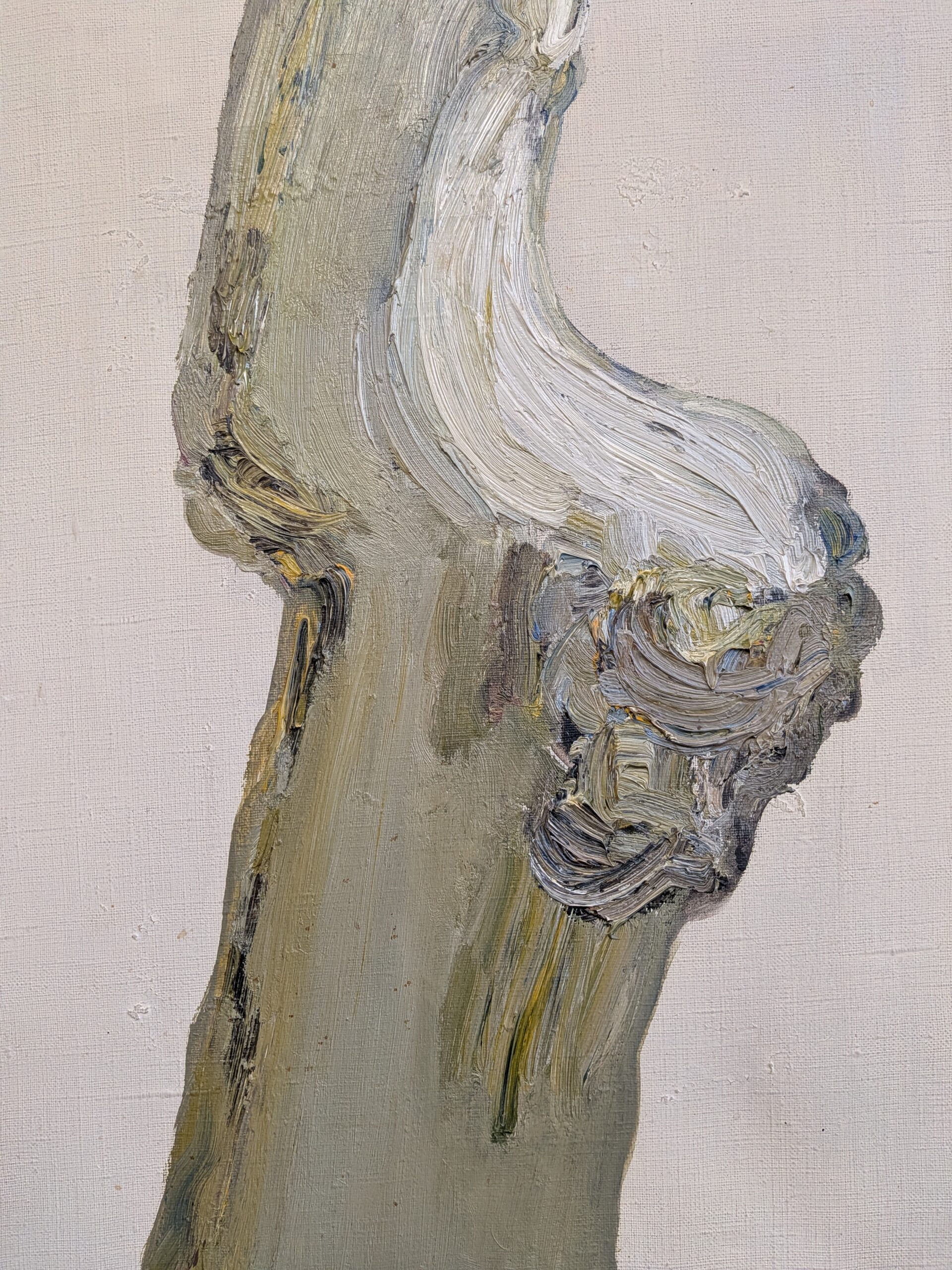 Sculpted by Nature - Image 7